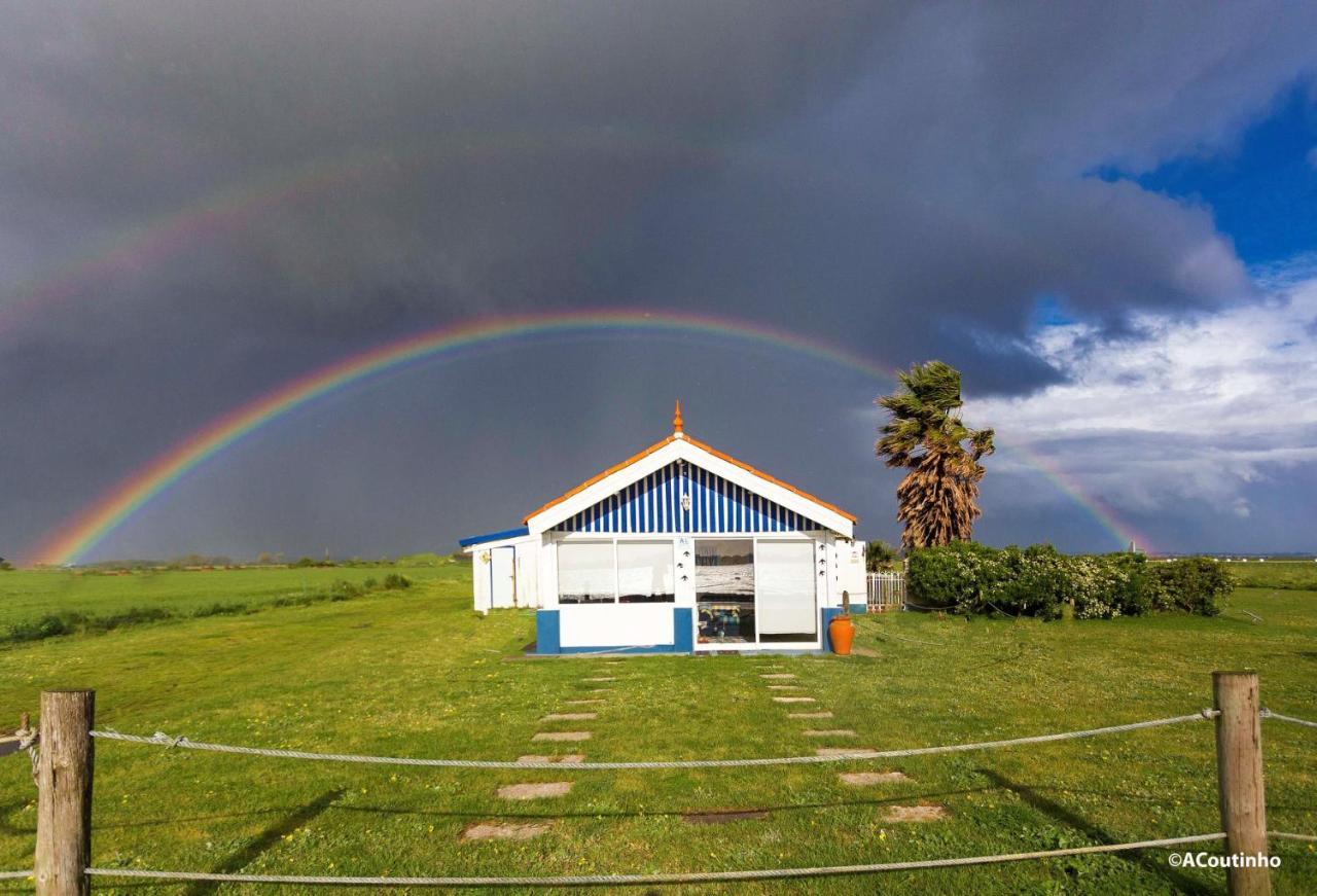 Вілла Casa Dos Flamingos Murtosa Екстер'єр фото