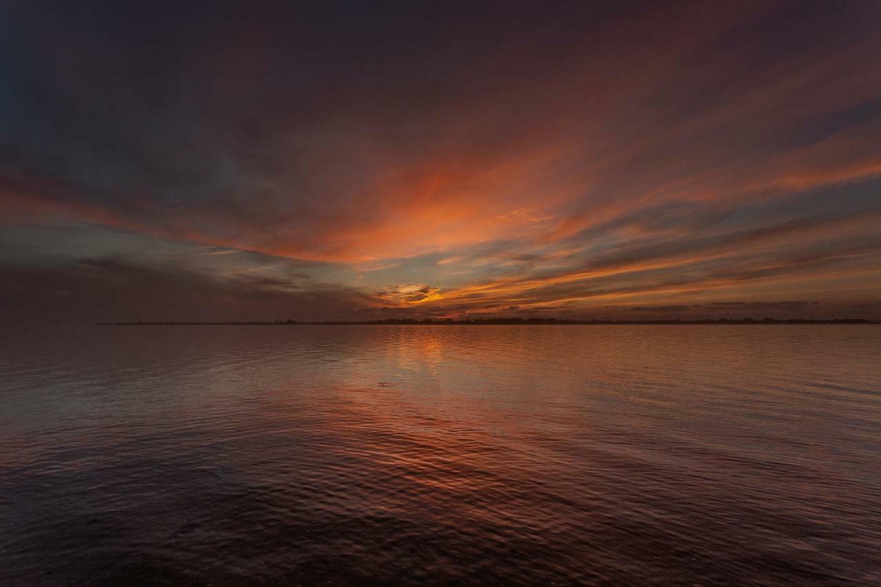Вілла Casa Dos Flamingos Murtosa Екстер'єр фото